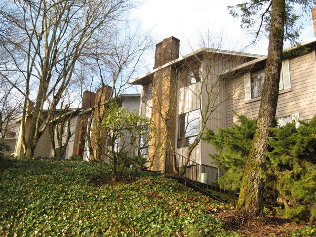 Homes on Wheatherstone Place, looking southwest